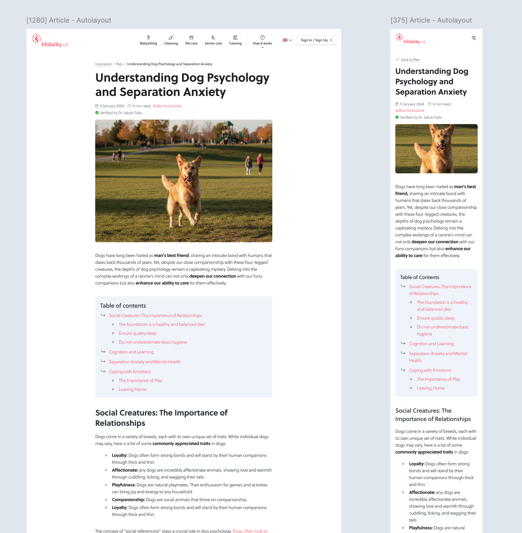 Blog and articles design